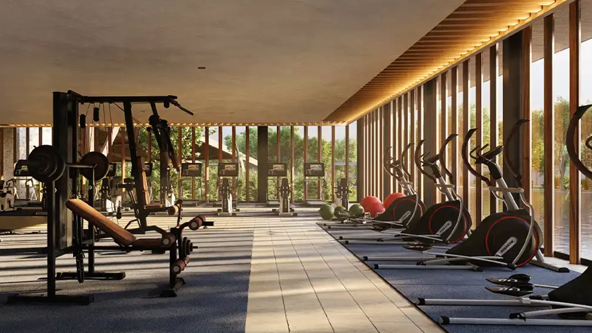 Gym